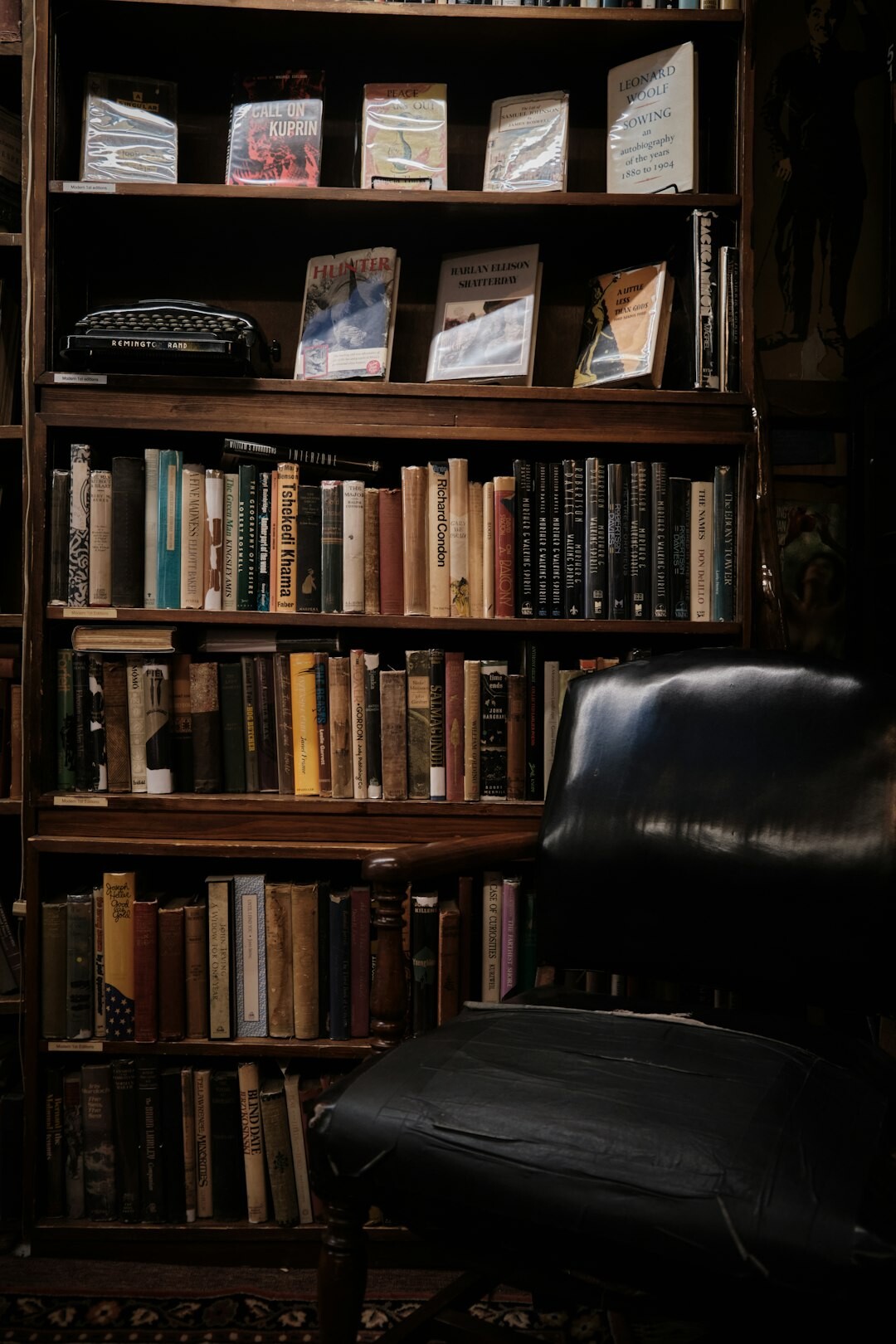 bookshelf with crime novels
